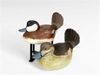 Ruddy Duck Pair - Norm Jones