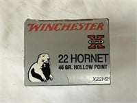 Winchester & Other 22 Hornet Ammo - 50 Qty