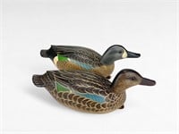Swimming Blue-winged Teal Pair - Forest Jennings