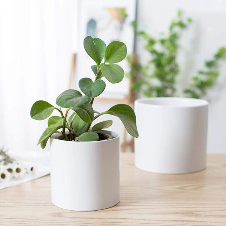 Amazon Basics Set of 2 Smooth Ceramic Planters