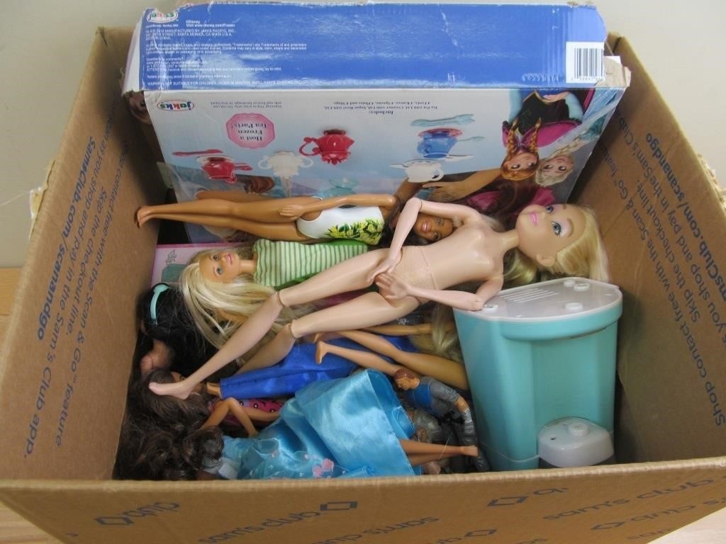 Barbies, Frozen, and more lot