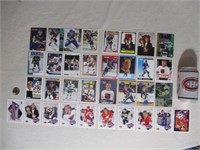 34 cartes de Brett Hull
Incluant les 9 cartes