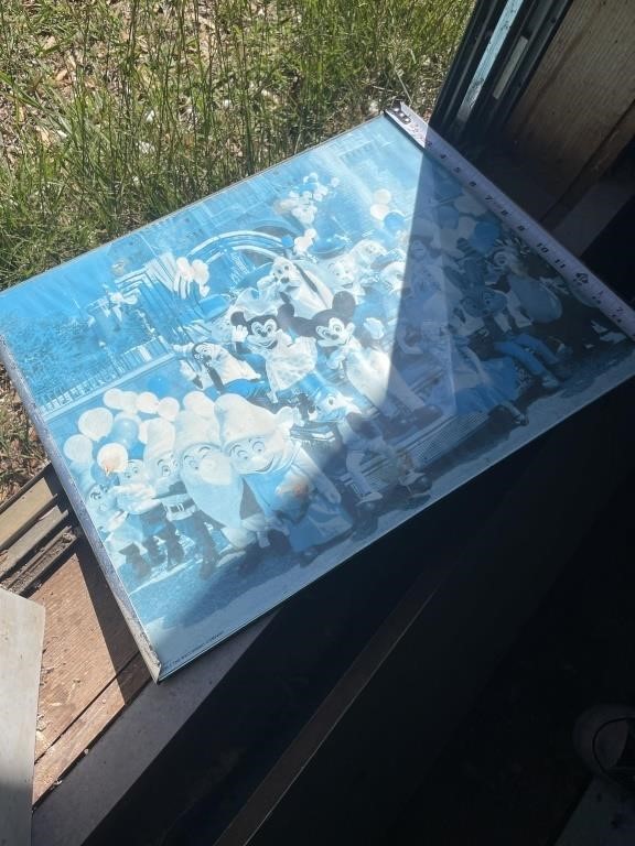 Walt Disney World partial, framed with glass