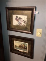 Pr of Framed Mallard Duck Pics (18" Wide)