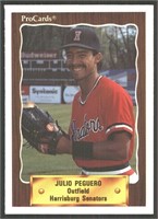 Julio Peguero Philadelphia Phillies