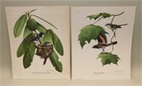 (2) Ray Harm Pencil Signed Bird Silk Screen Prints
