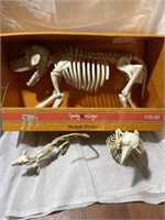 Skeleton Animals Lot