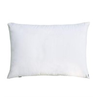 SEALED-Dr. Pillow Pillow 20"x28"