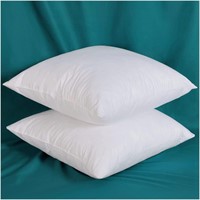 2pc 20x20 Cotton Throw Pillow Inserts