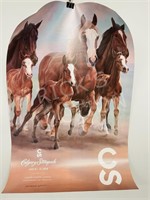 3 full size Stampede posters - 2016, 20, 23