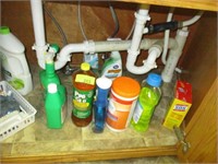 Cleaners and misc under sink