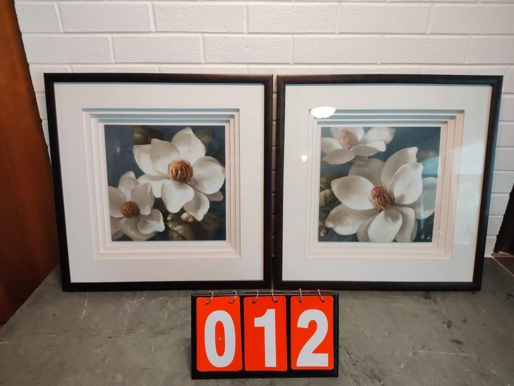 2 Flower Pictures