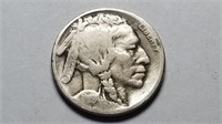 1919 S Buffalo Nickel Rare