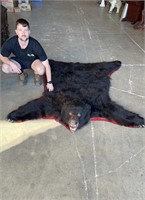LARGE GRIZZLY BEAR SKIN RUG