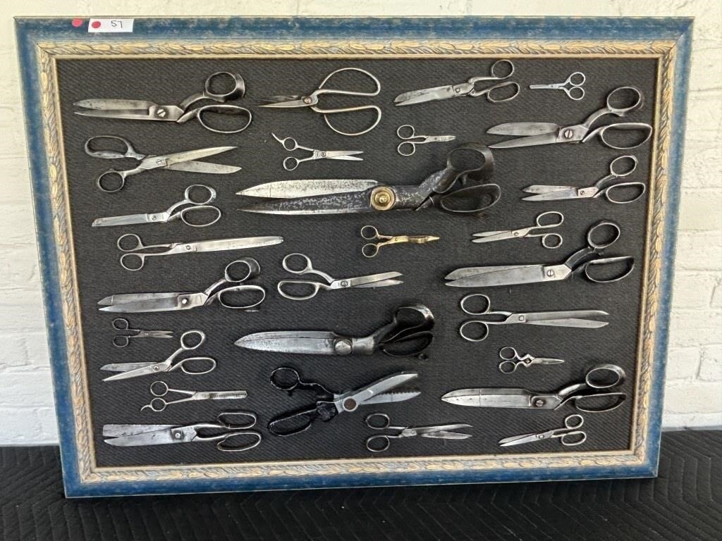 Scissor Collection