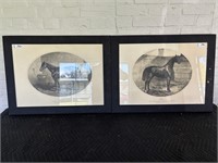2 Framed  Champion Horses
