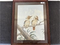 Neville Cayley "Kookaburras"