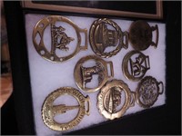 Eight brass harness medallions