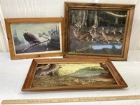 3 Pictures/Paintings of Wildlife