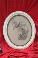 A Framed Oval Print by Gould