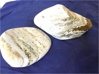 2 Very Large 7" Oceanic Jasper Stone Specimens