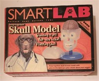Smartlab Snap Together Skull Model