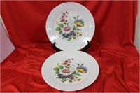 A Pair of Hutschenreuther China Floral Plates