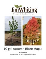 Jim Whiting Nursery & Garden Center - 10-gallon