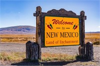 Package Deal on 10 New Mexico Lots!