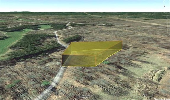 Golden Opportunity: Land Auction Extravaganza!
