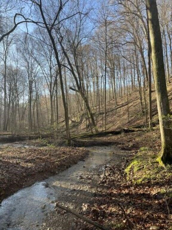 Recreational & Hunting Land for Sale in Bloomington, Indiana