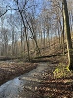 Recreational & Hunting Land for Sale Blgtn,IN