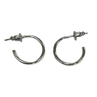 Silver Tone Sensitivity Small Hook Earrings