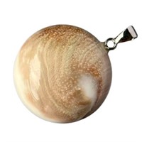 Natural Round Sun Shell Fossil Spiral Pendant