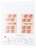Canada Postage Scotts No. 596i 8 Blocks x 4 Stamps