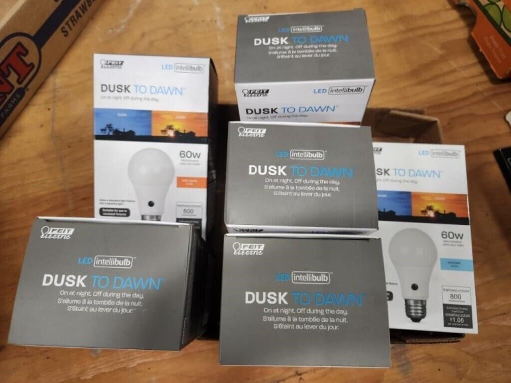 6 - 60W Dusk to Dawn Light Bulbs