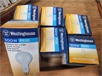 6 - 300W Shop Light Bulbs