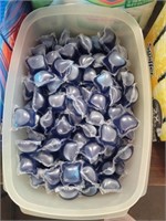Container W/Detergent Pods
