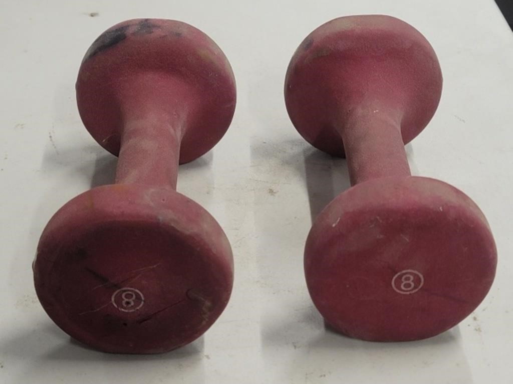 Two Exercise Weights