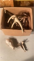Sheds and skull