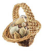 Basket Of Natural Shells Nautica