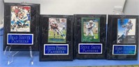 North Carolina Panthers plaques one signed