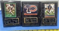 Chicago Bears Player Plaques Marty Booker, Brian