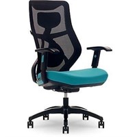 Beautyrest Duo-EX Ergonomic Mesh Swivel Chair