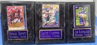 Minnesota Vikings player plaque all signed