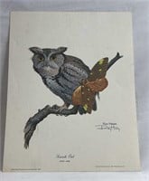 Screech Owl Print By Ray Harm