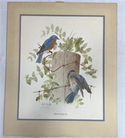 Bluebird Feeding Time Signed By Charles Spaulding