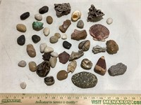 Rocks and Shells
