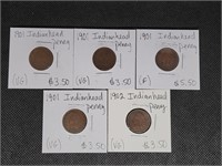 Lot of 5 Indian Head Pennies: 4- 1901 & 1902