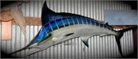 100+ inch Blue Marlin Mount